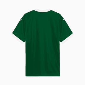 Camisa Puma Palmeiras 2025/26 I Torcedor