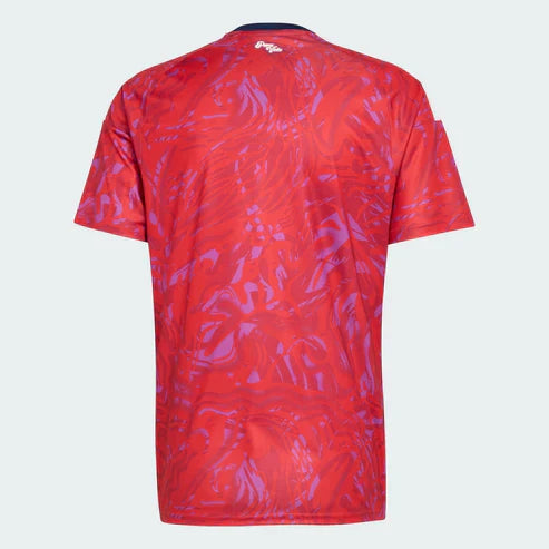 Camisa Costa Rica 2026/27 I
